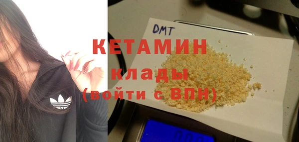 индика Володарск