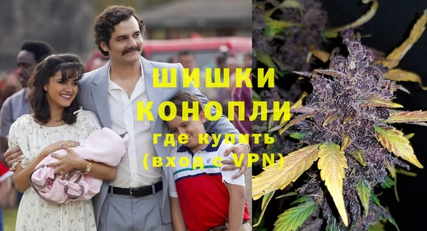 соль ск Волосово