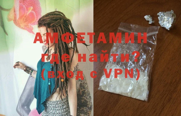 индика Володарск