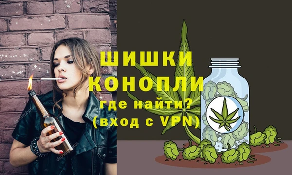 винт Протвино