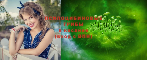 индика Володарск