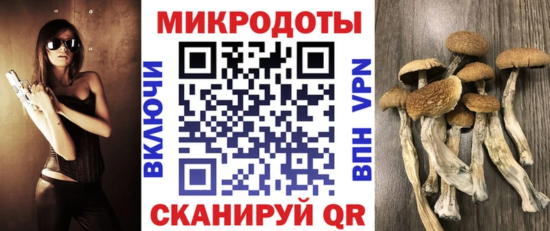 hydra как зайти  Ефремов  Галлюциногенные грибы Magic Shrooms 